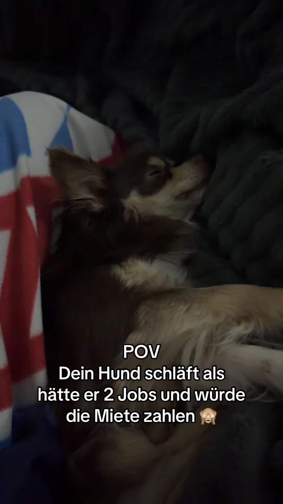 @Pamela ❤️