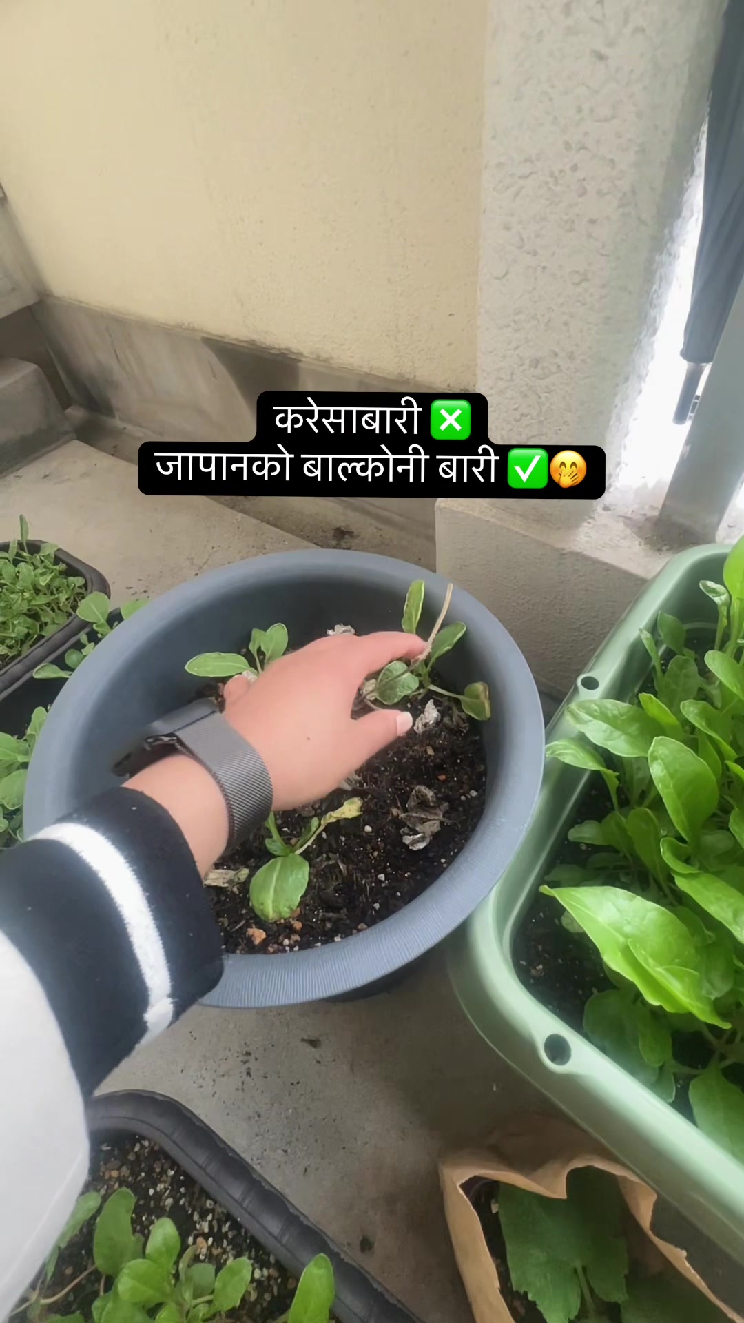 @AnJujhon❤️