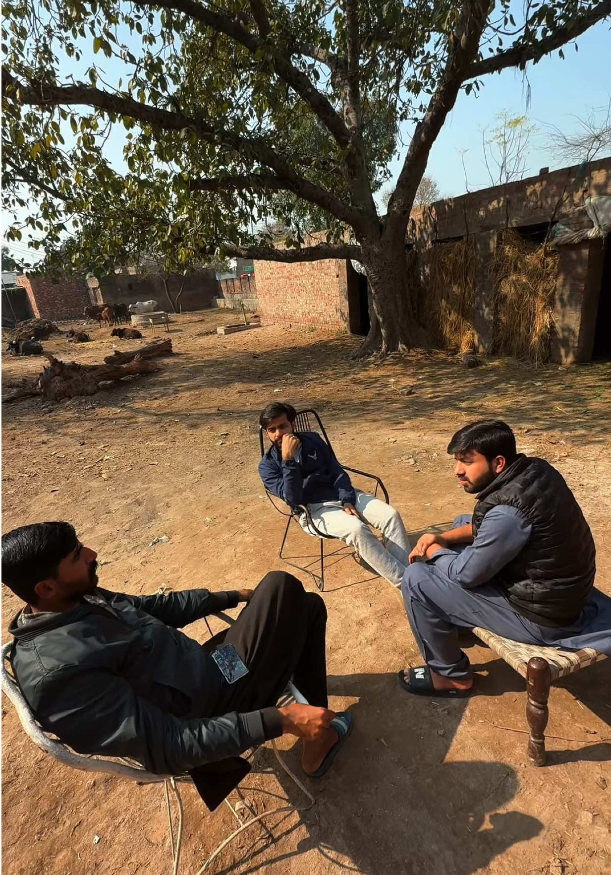 @Ali Malhi 10 🇺🇸🇵🇰