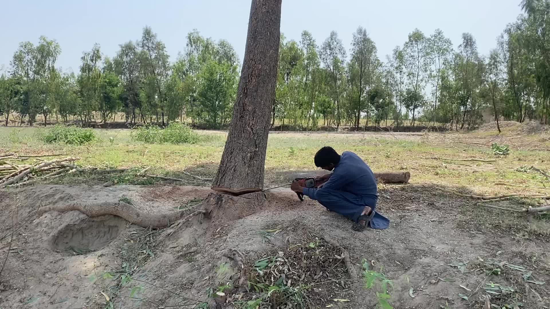 @Liaqat jutt