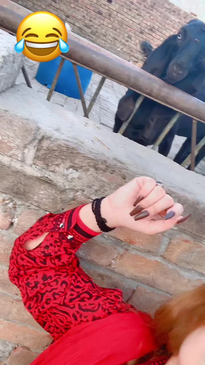 @Sargodha ki jaan🦾