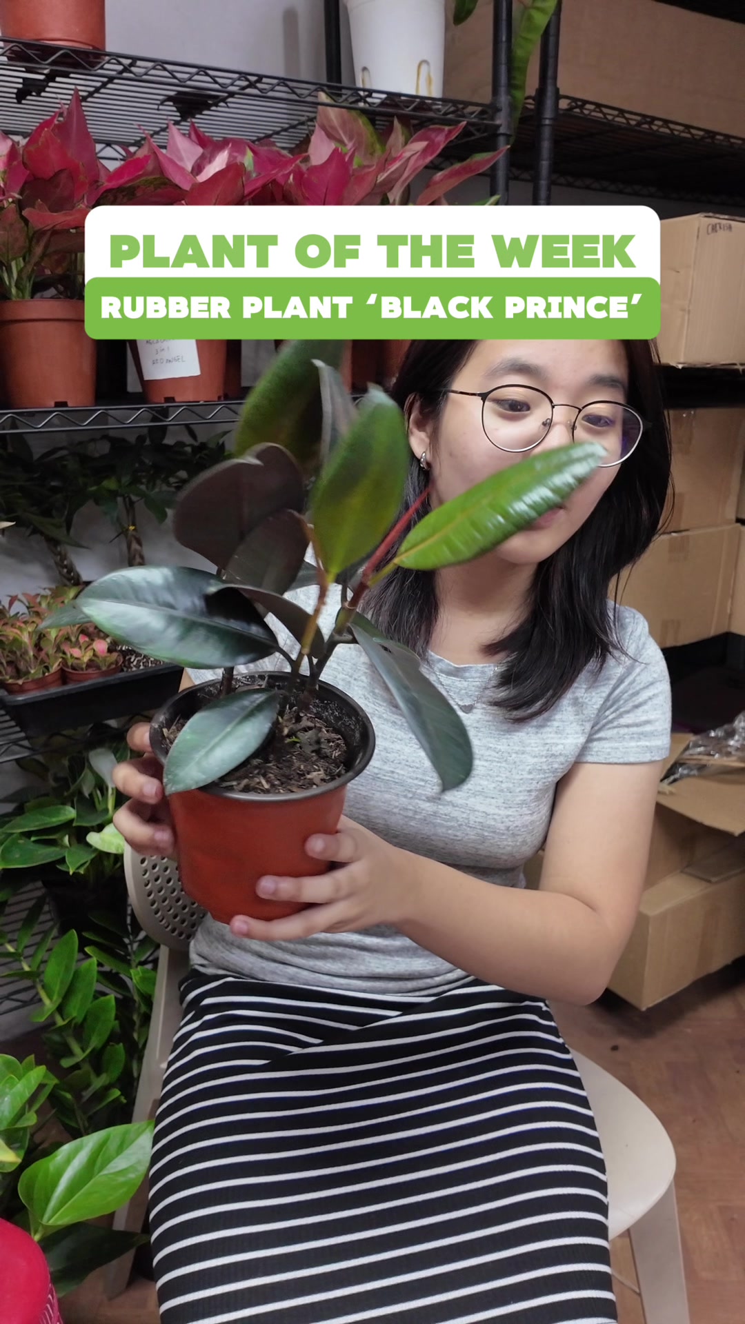 @PlantCulturePH
