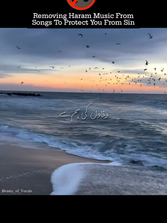 @𝐁𝐞𝐚𝐮𝐭𝐲_𝐨𝐟_𝐕𝐨𝐜𝐚𝐥𝐬