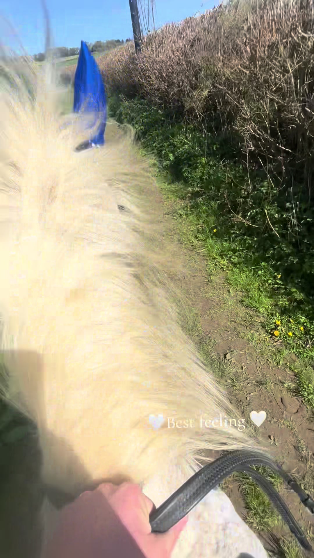 @Freyabarrow🤍