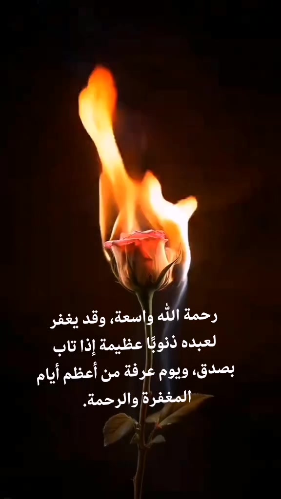 @king👑