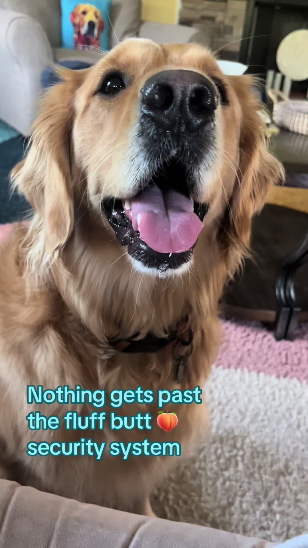 @Winnie the Golden Girly