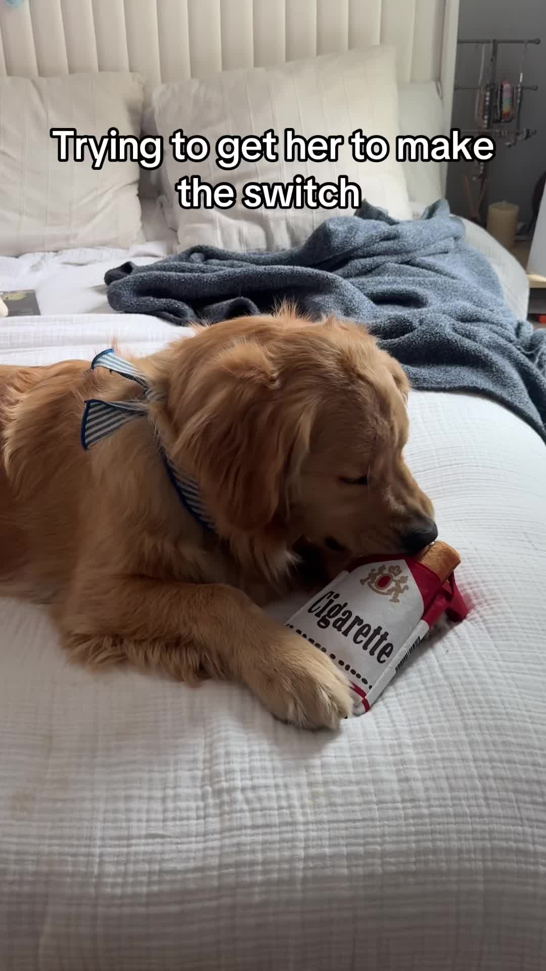 @Winter the Golden