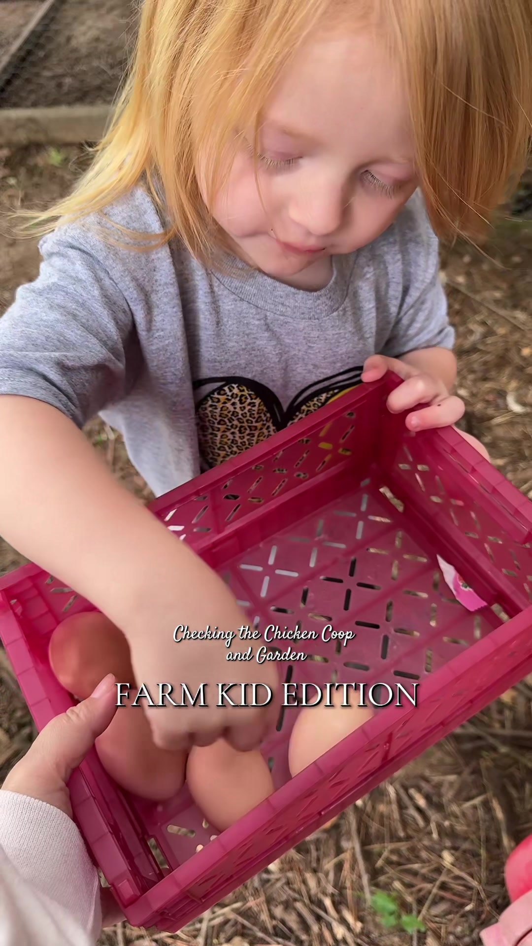 @🌾S&S | Food, Farm, & Family🌾