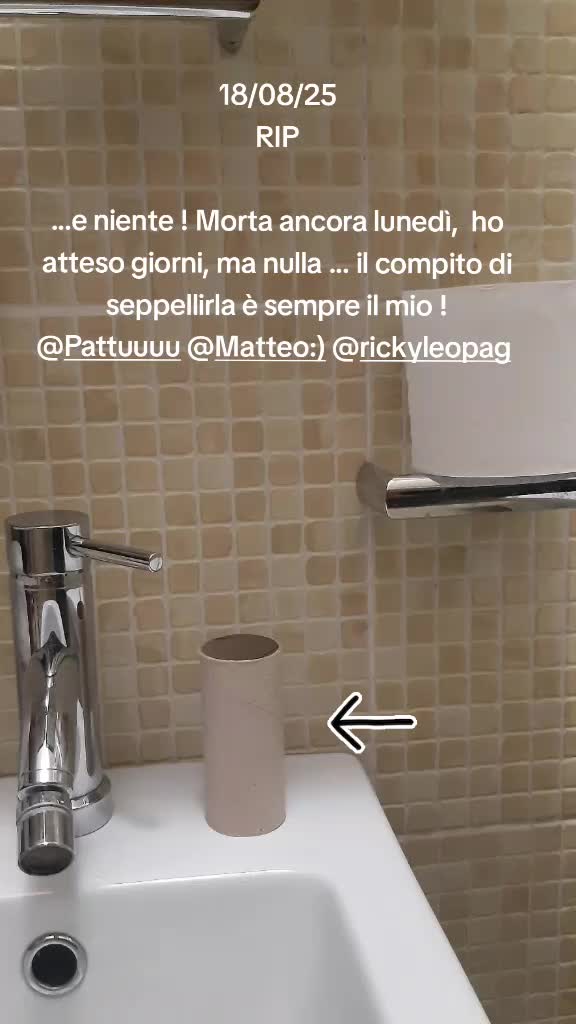 @Ely Bonardi