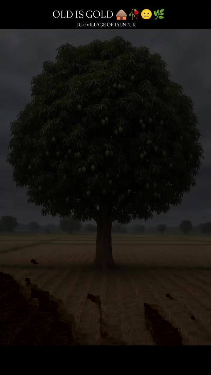 @𝐁𝐈𝐒𝐇𝐍𝐔 𝐃𝐄𝐕