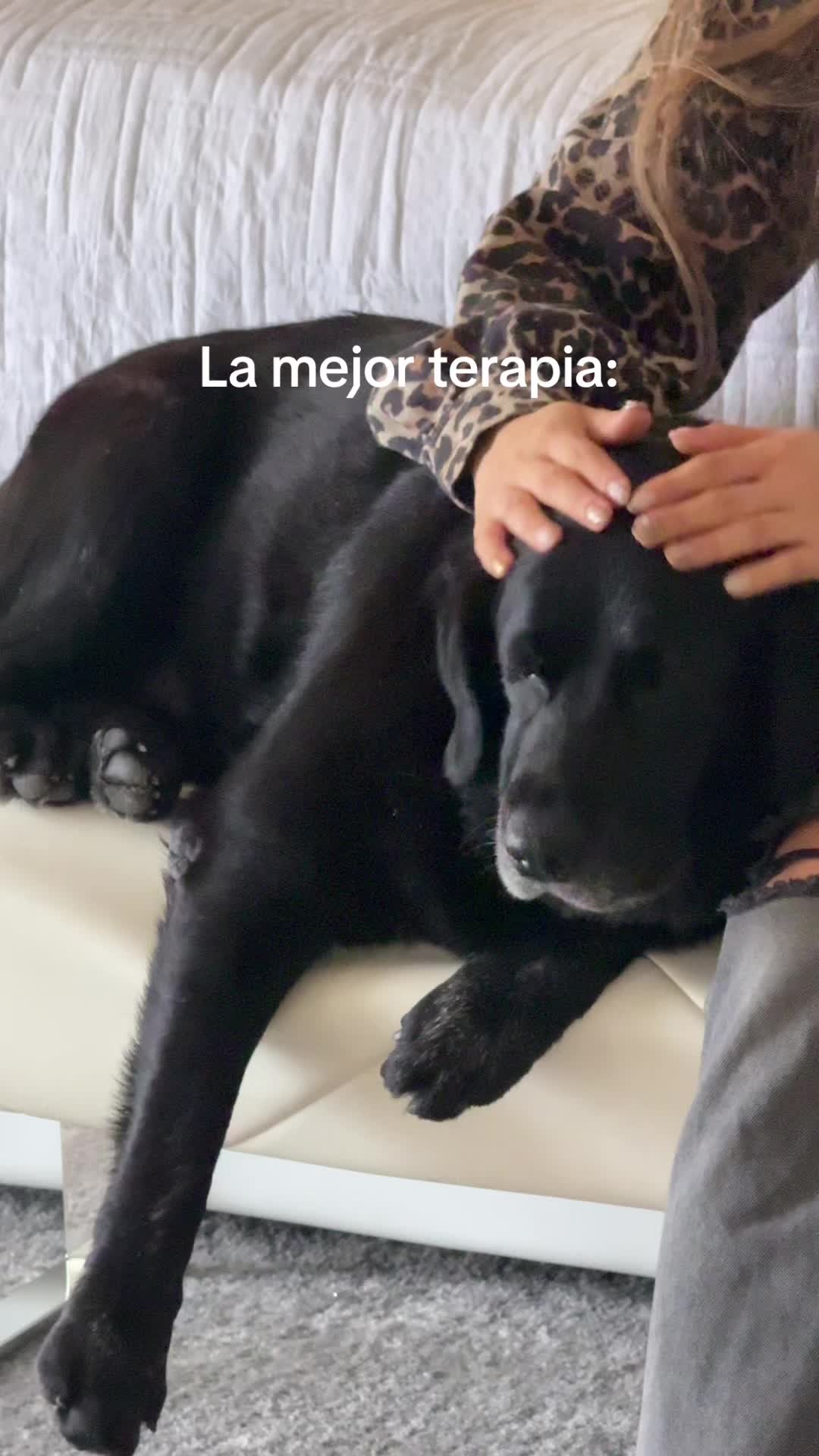 @Andrea Aguirre
