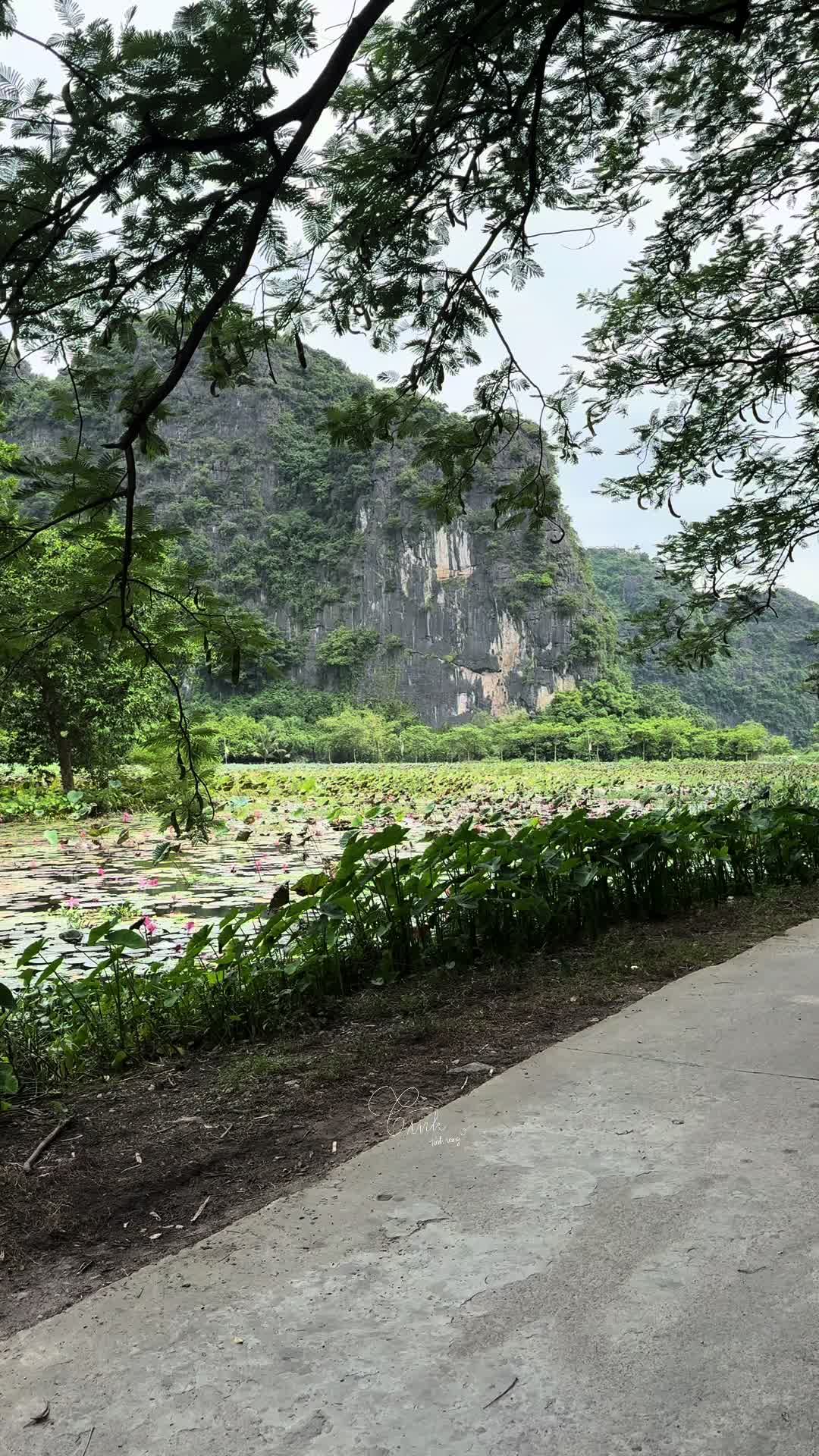 @Reels của Tình 🫧