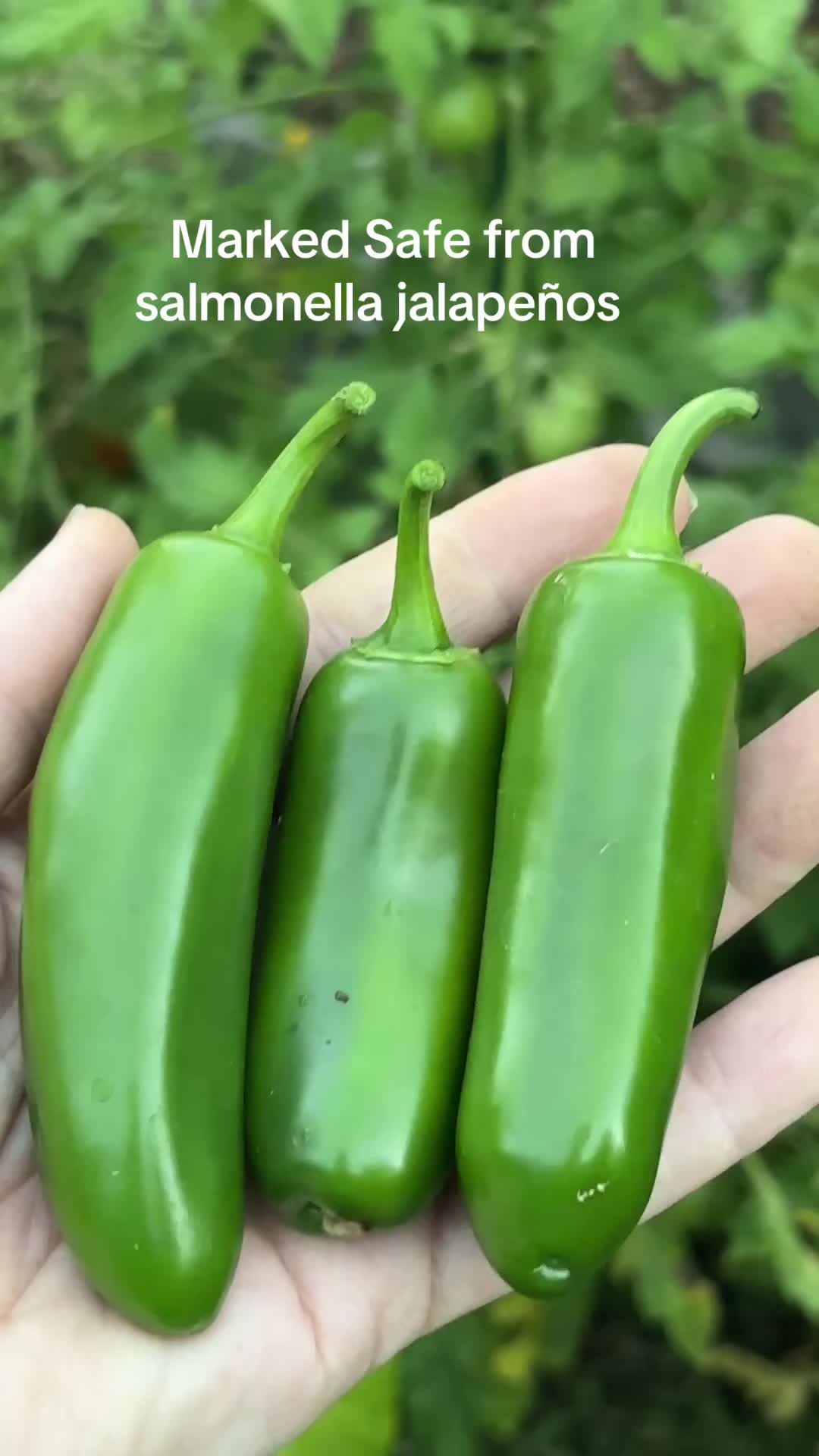 @SomeLikeItHomegrown