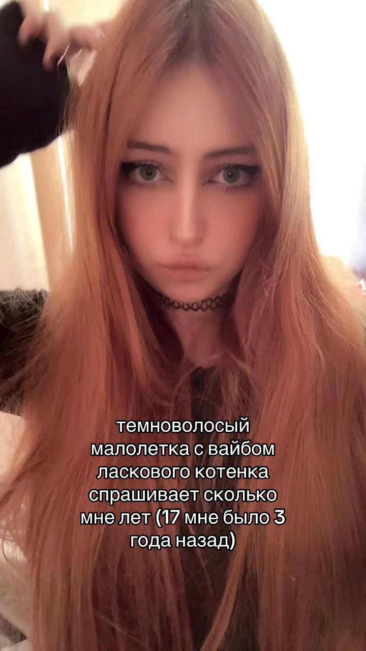 @тгк мяу