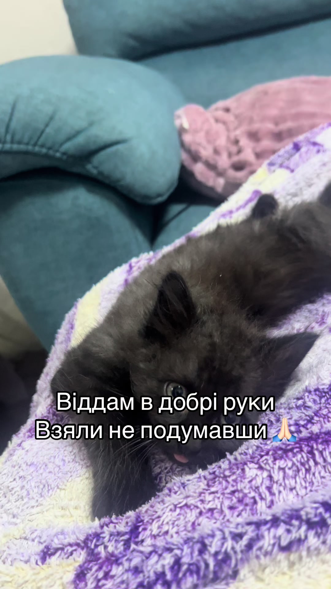 @Олена Номеровська