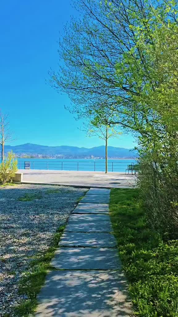 @Manuel Barbosa🇵🇹 🇨🇭