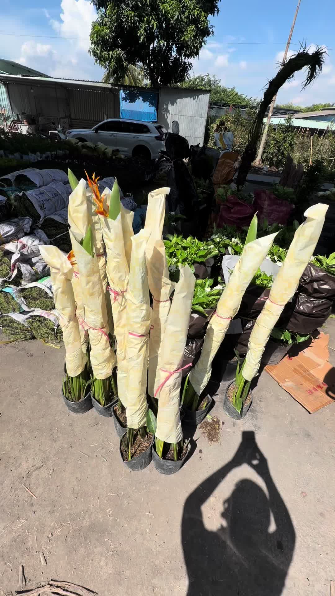 @Tiệm Lá Nhỏ