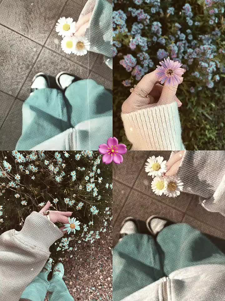 @๐ฎ๐น๐
๐
๐
๐
จ ๐
๐
๐
ข๐
ข ๐
ข๐
จ๐
๐ซก