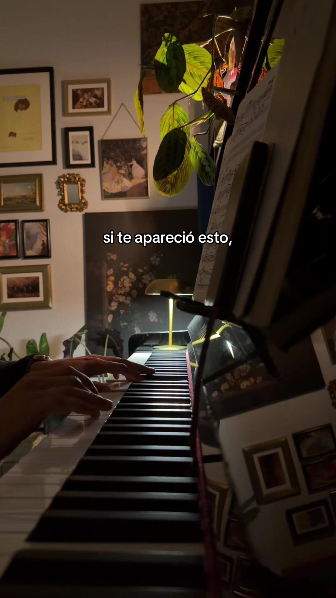 @constantini_music