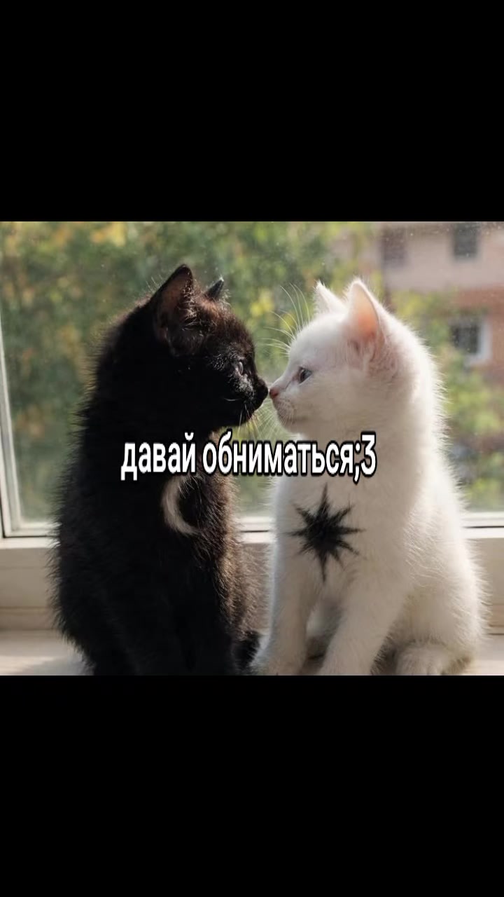 @кощик😛