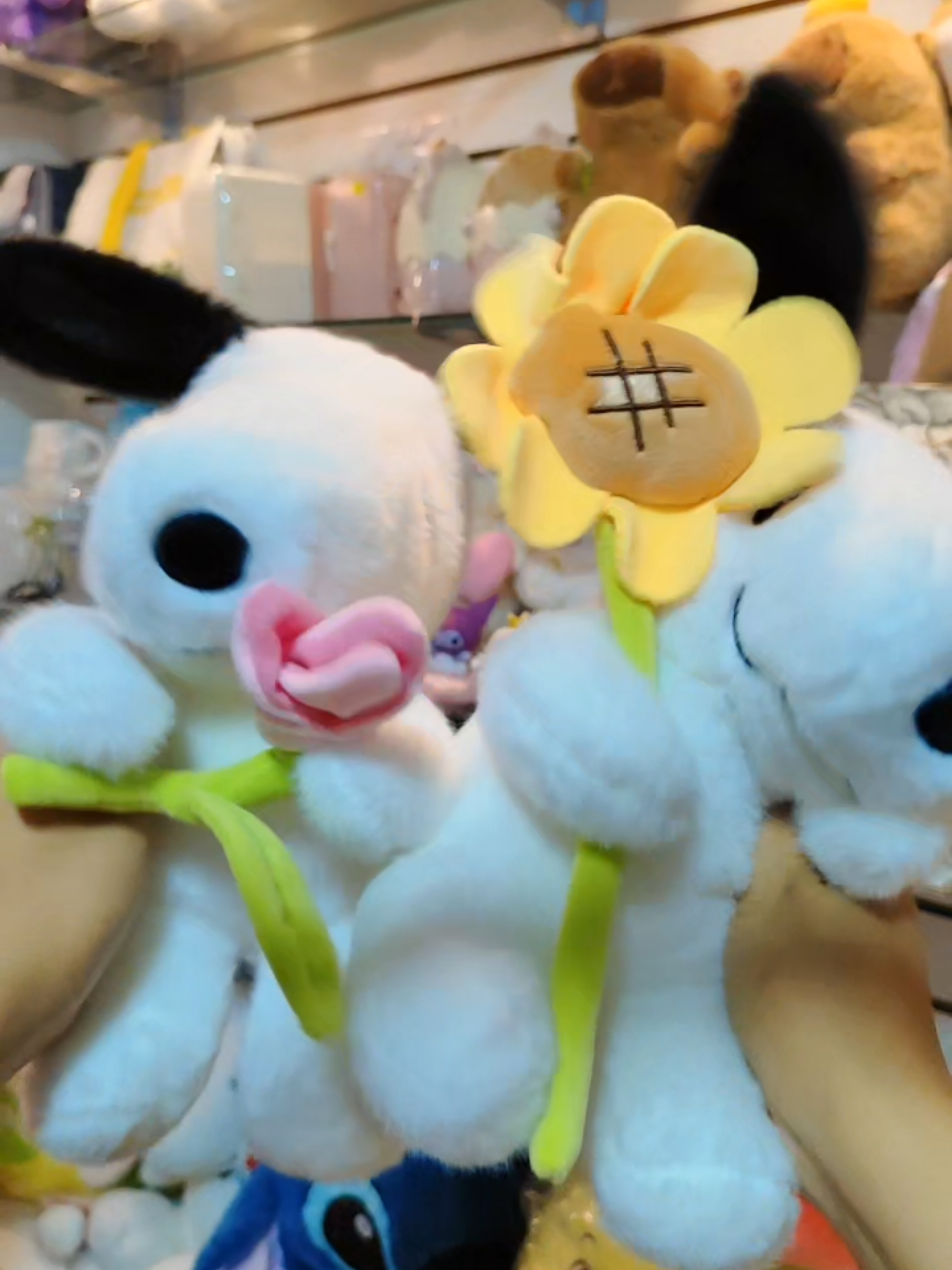 @Booshi MOSHI Store