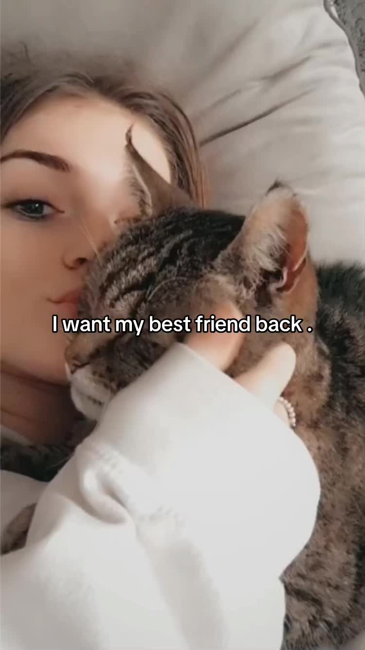 @Phoebs