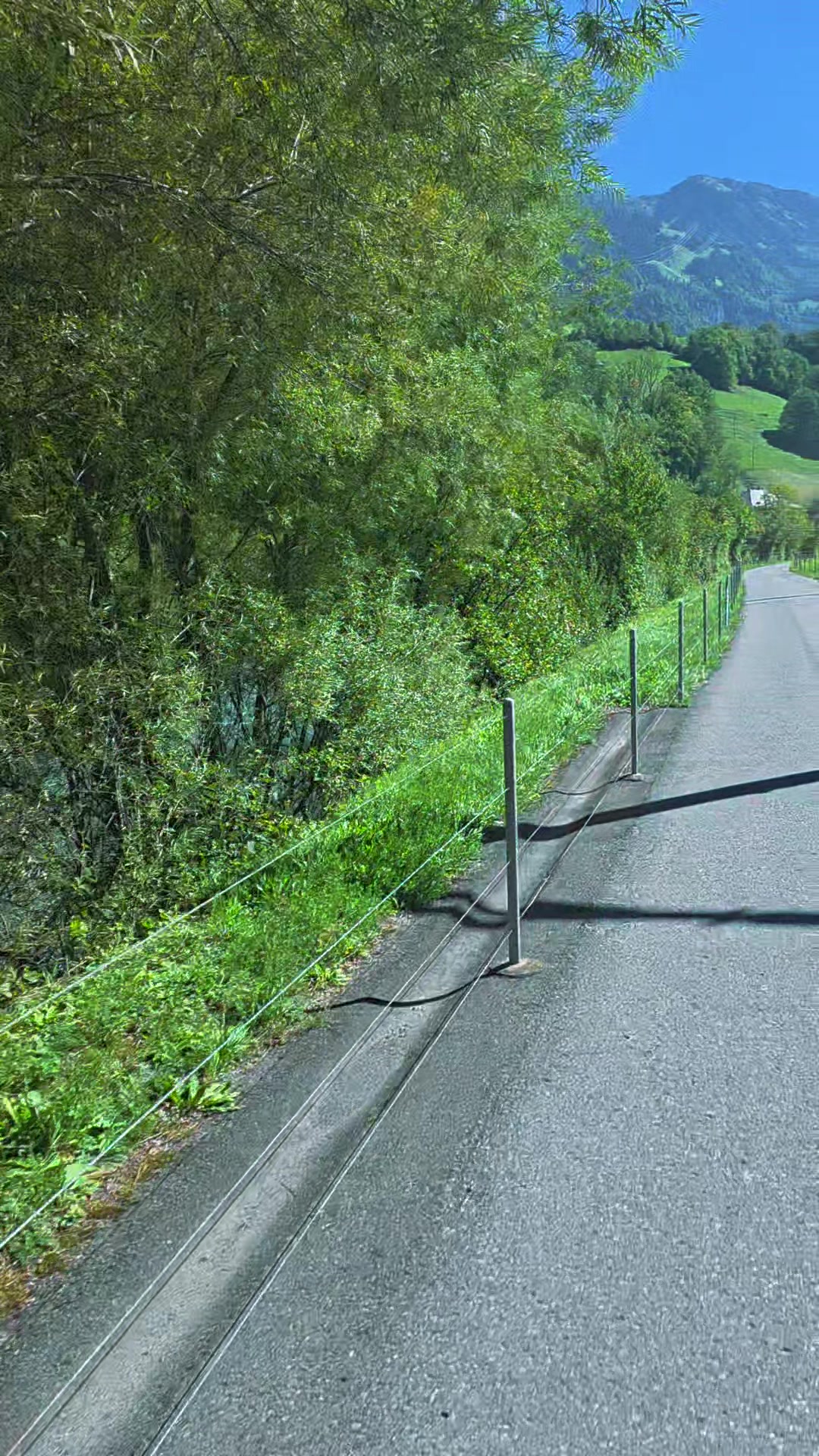 @🇨🇭🇨🇭GrünerKobold🇨🇭🇨🇭