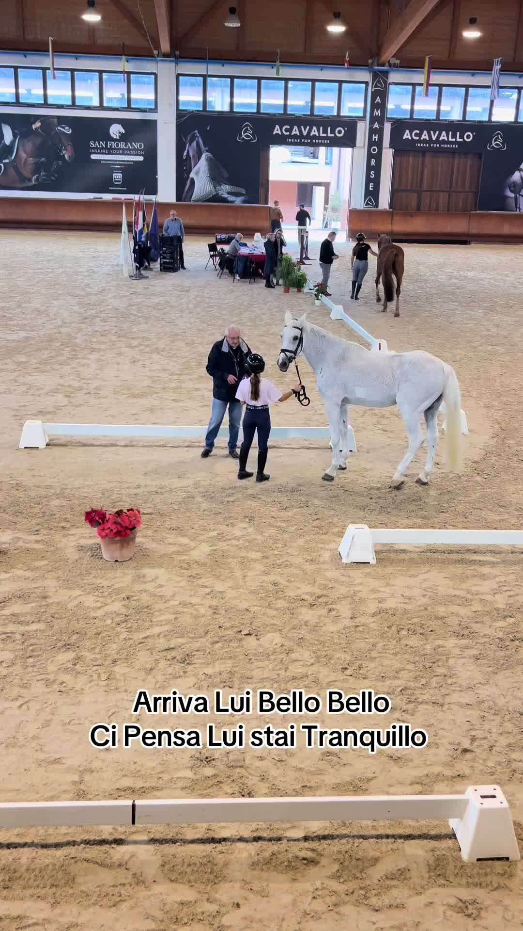 @Lapi Nicol Hr 🇮🇹