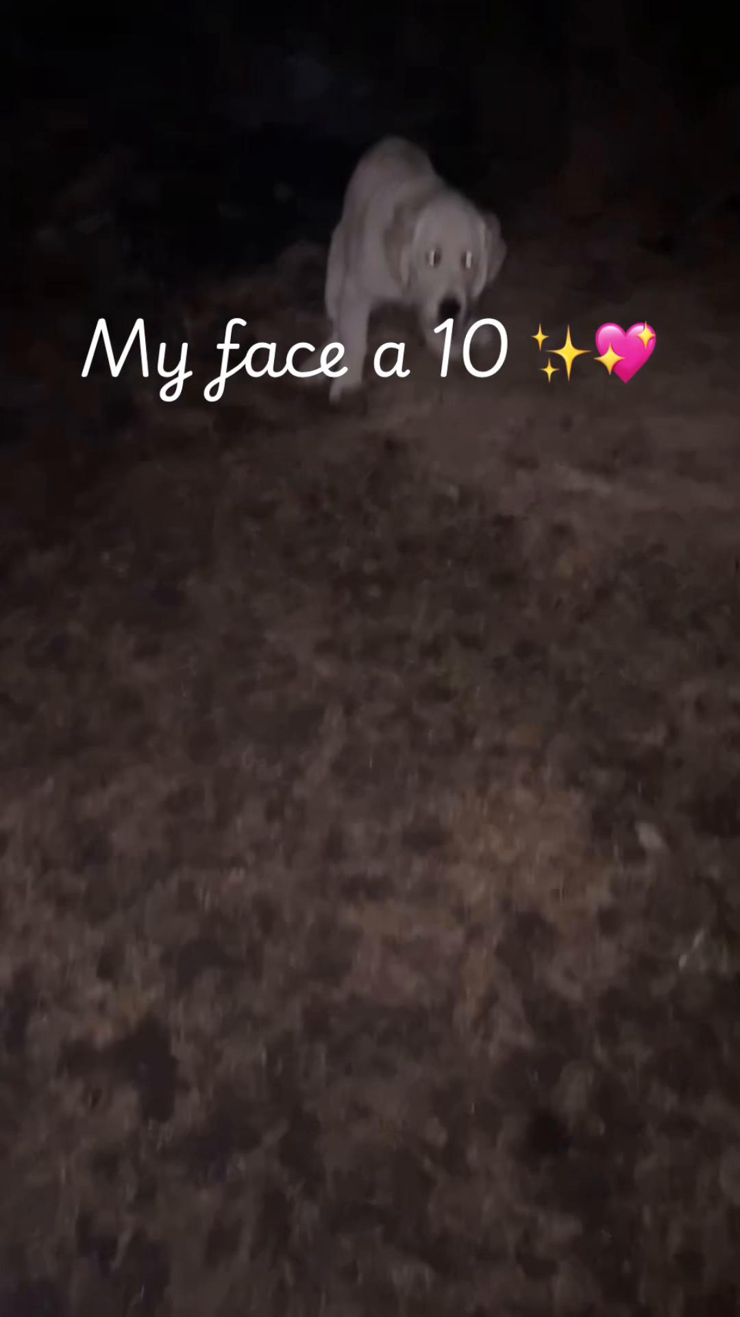 @🤷🏼♀️💋👱🏼♀️