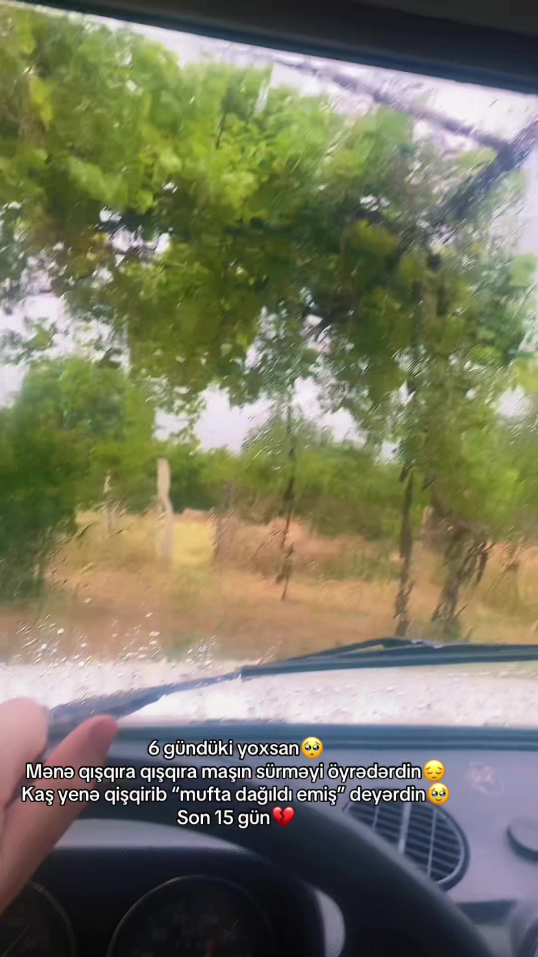 @✴️S&uuml;bhan Farizoğlu✴️