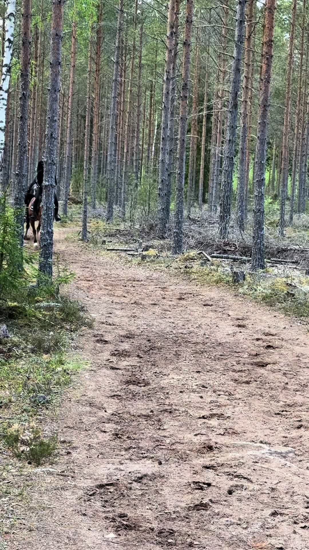 @🤍Elin Tyskhagen🤍