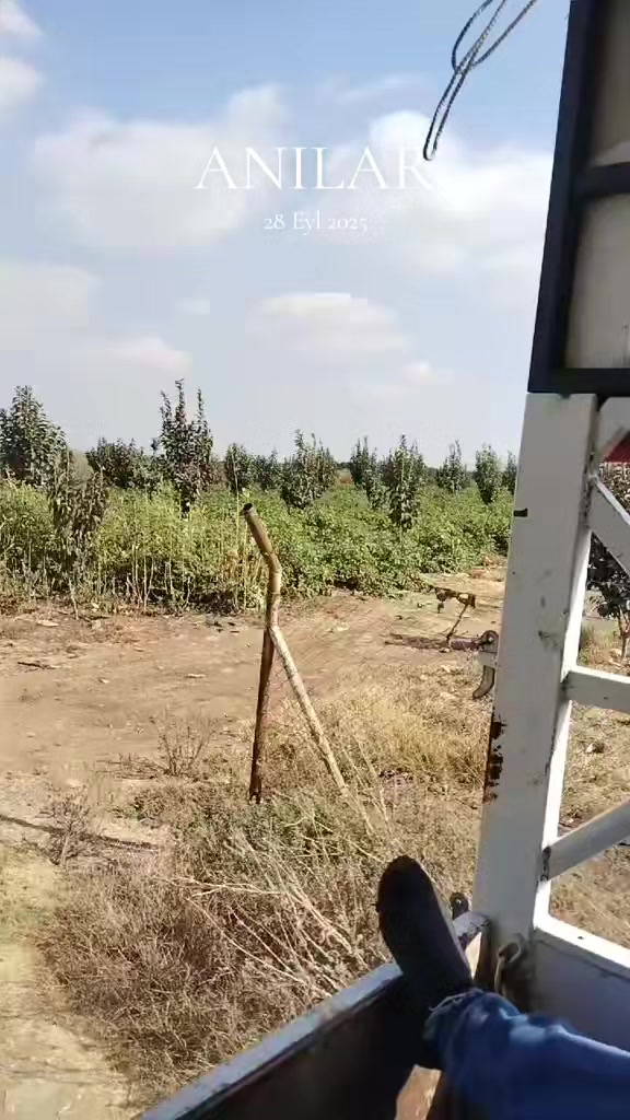 @Ayşe