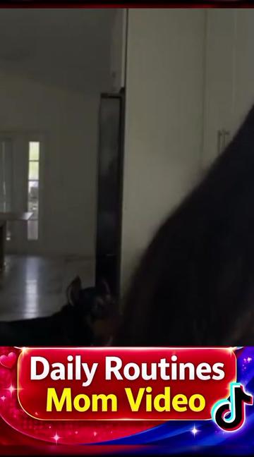 @harielferrarivlog0.0