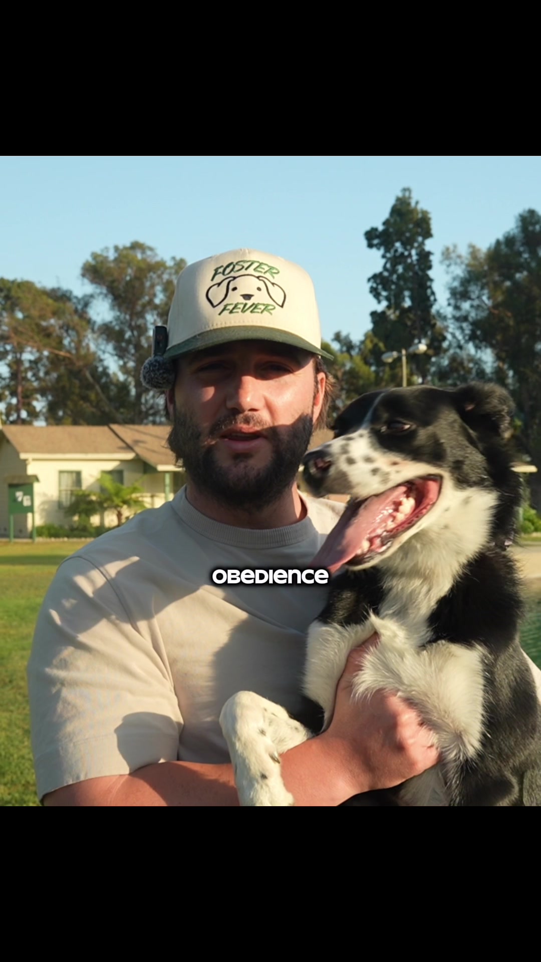 @forthedogs