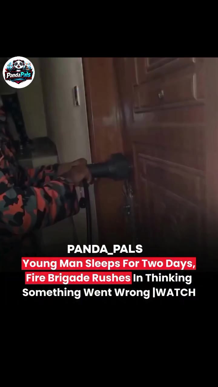 @PandaPals