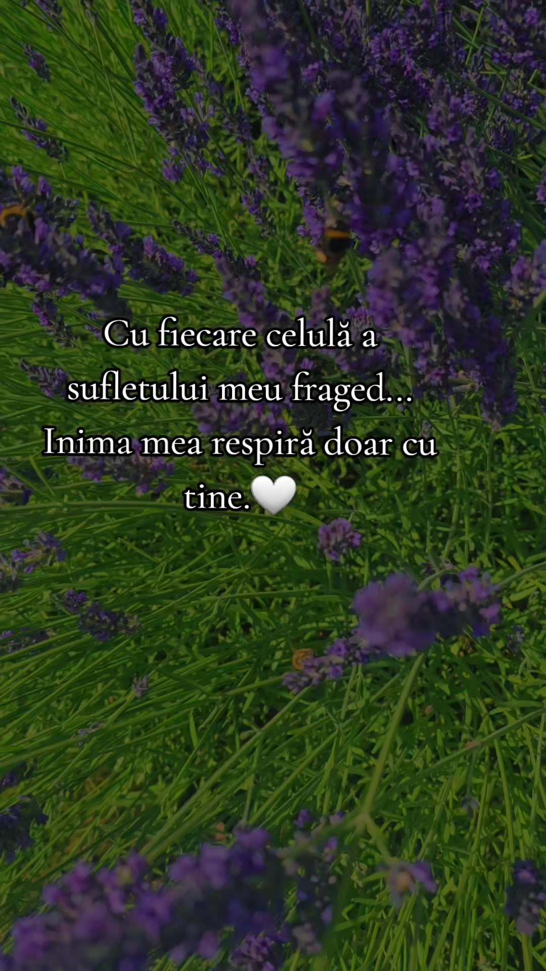 @♡Nadia♡