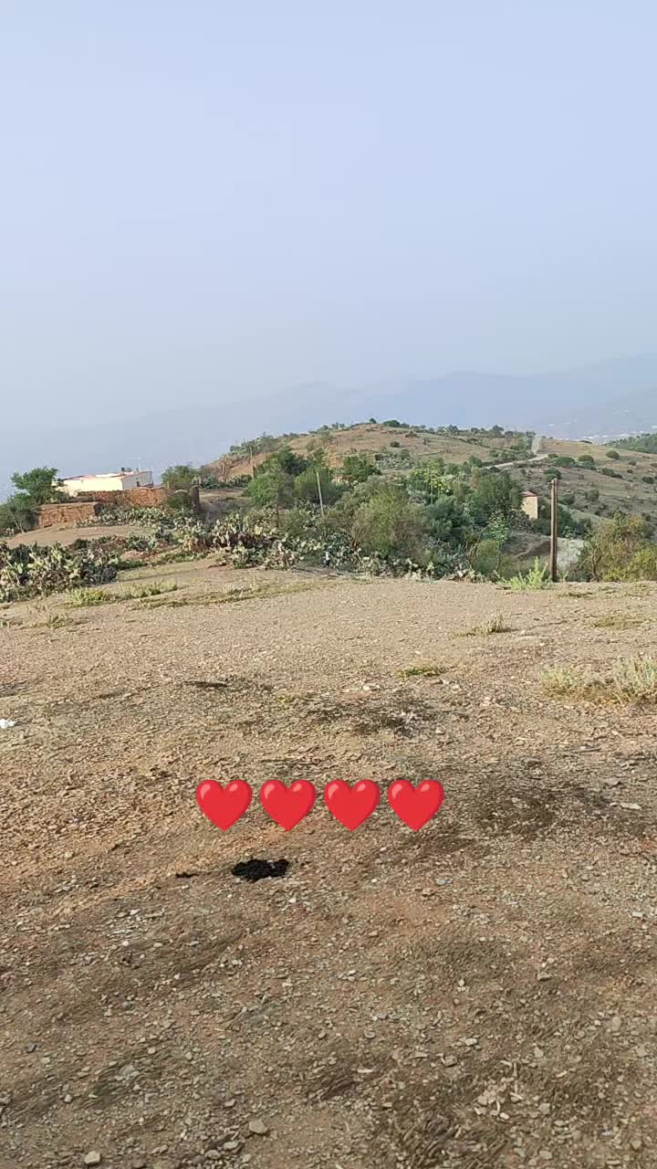 @Morad Málaga