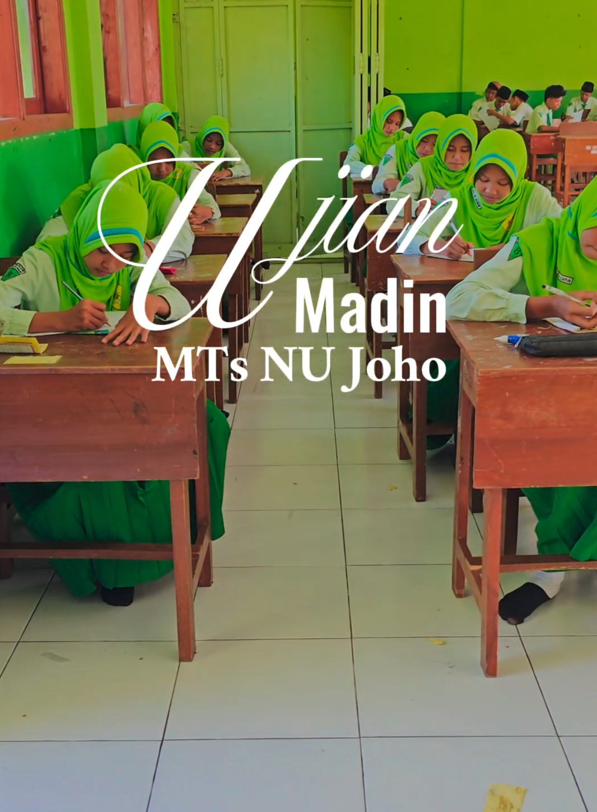 @mtsnujoho