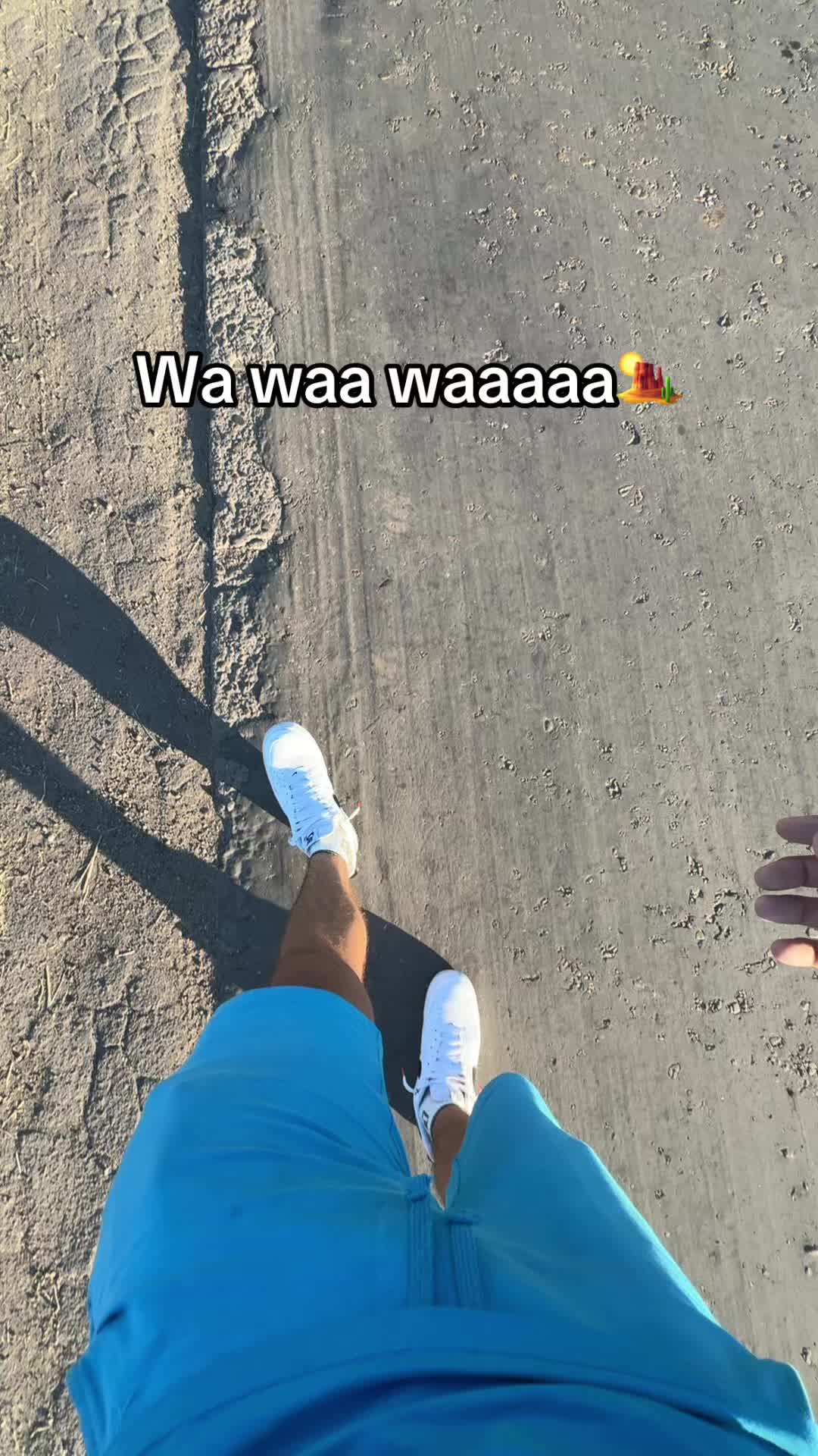 @noorbi_21
