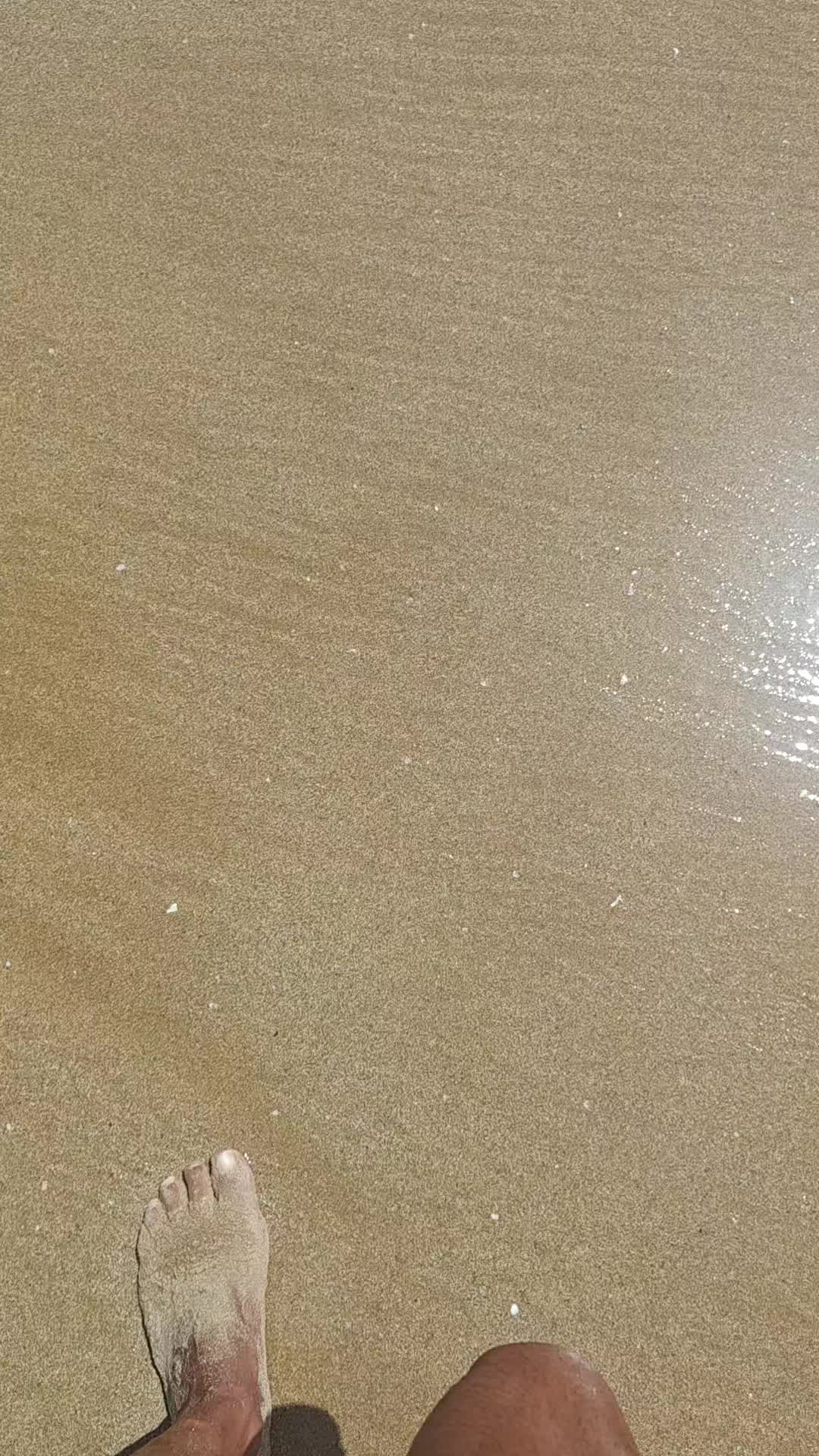 @manumota