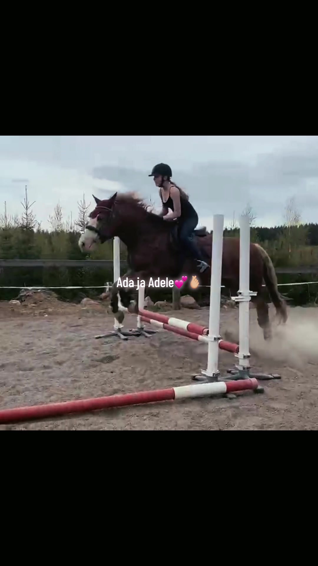 @Ponirannan talli🇫🇮🐎