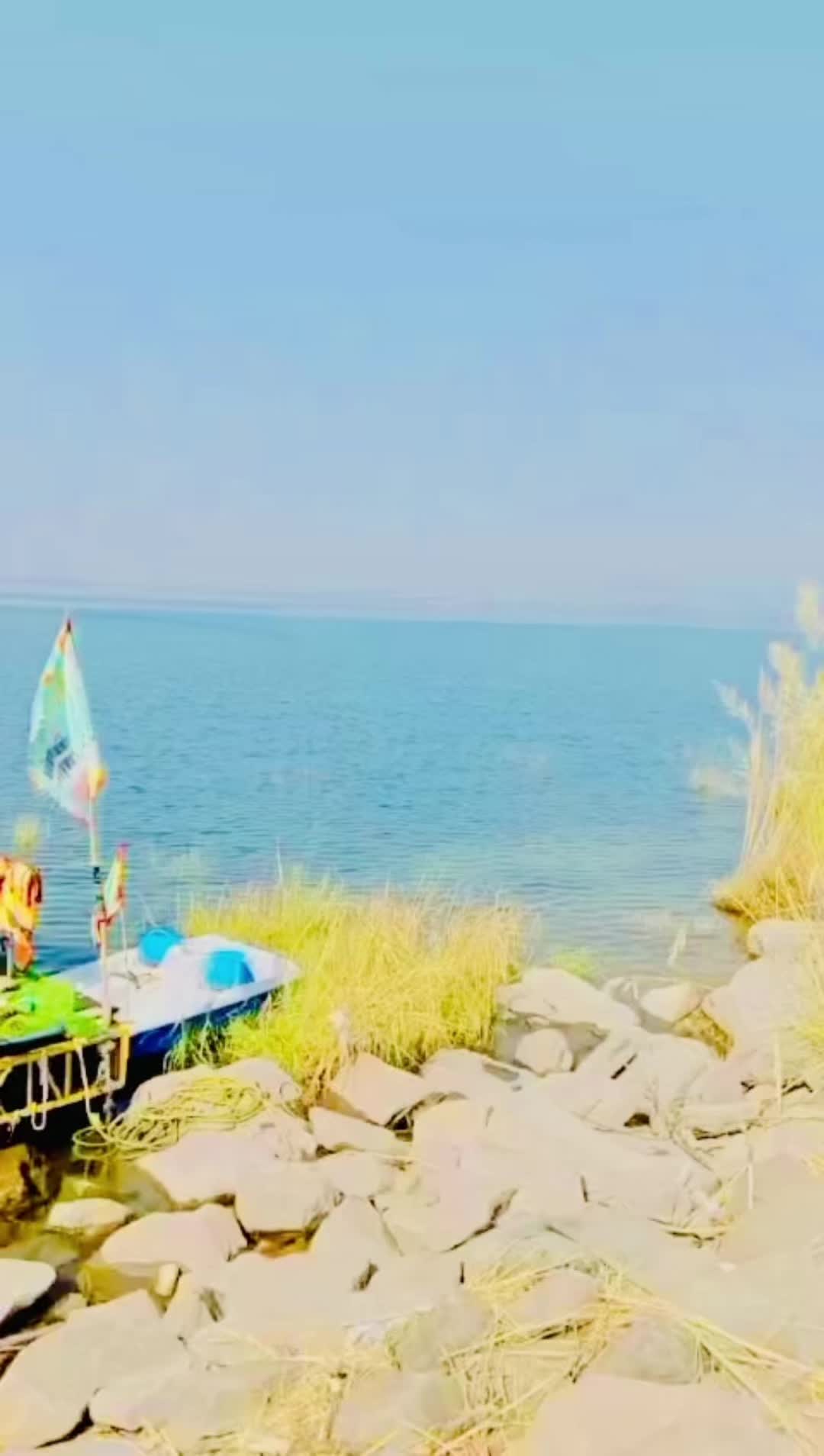 @farazmultani13