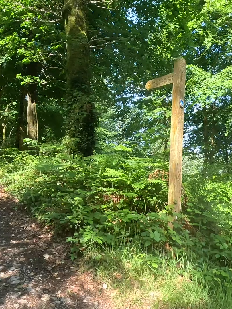 @northwaleswalkalong