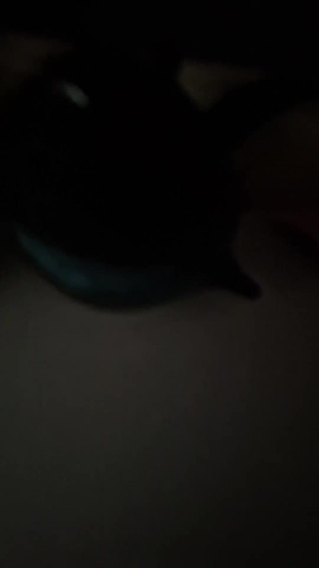 @🖊ძᥱ᥎ᥲᥒ~ᥲᥙs𝗍іᥒs ᑲ𝖿🌙