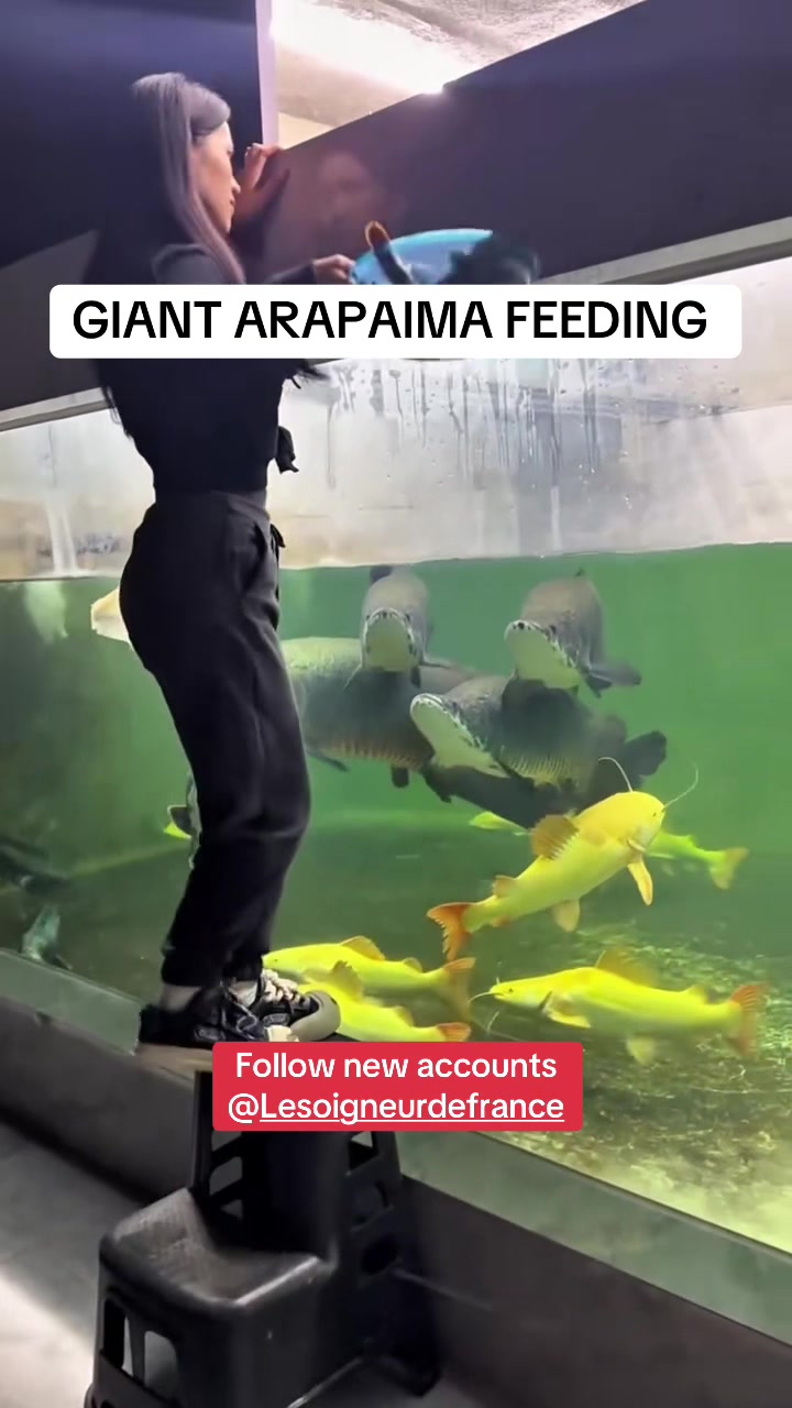 @OxarfisH ™