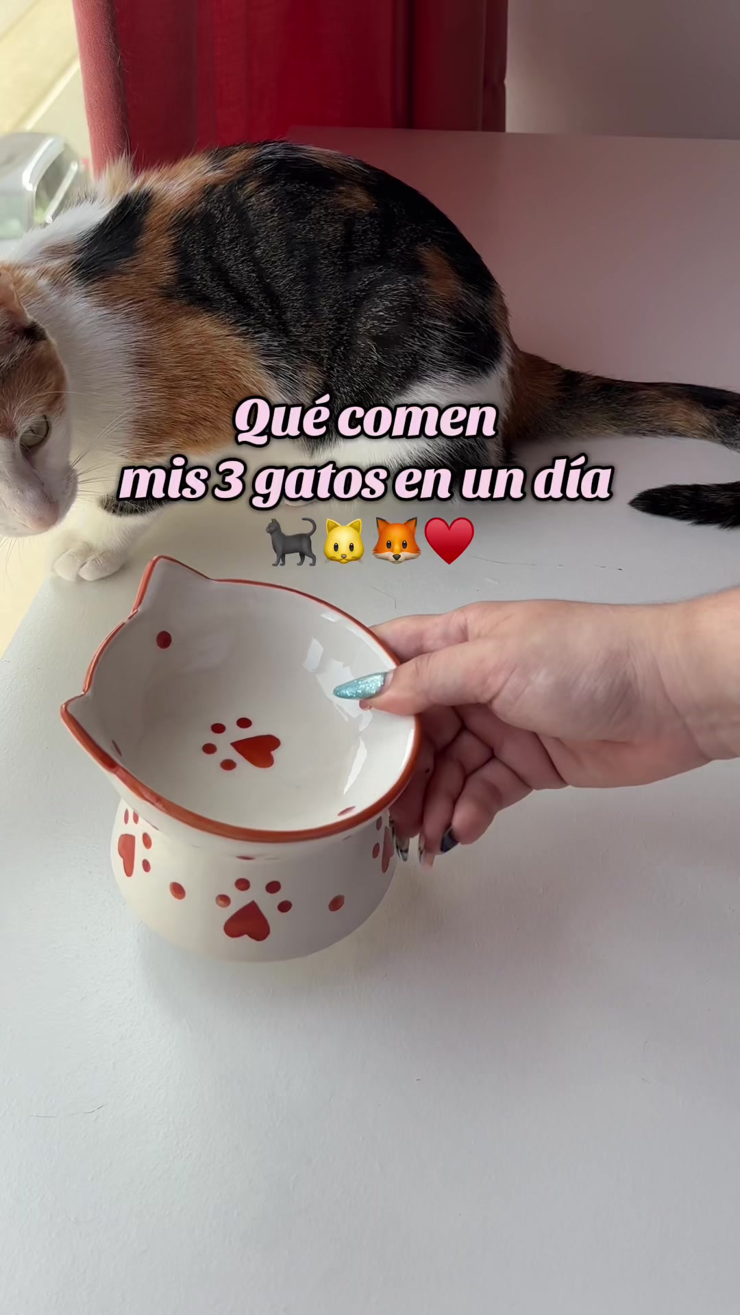 @- Alejandra 🐱💕