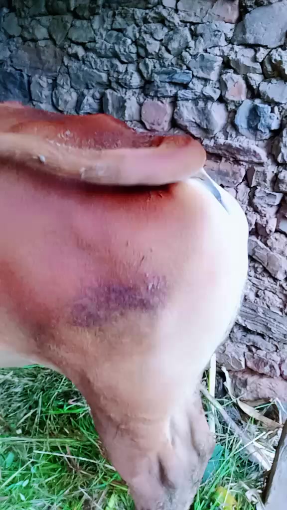 @Mahendra Singh