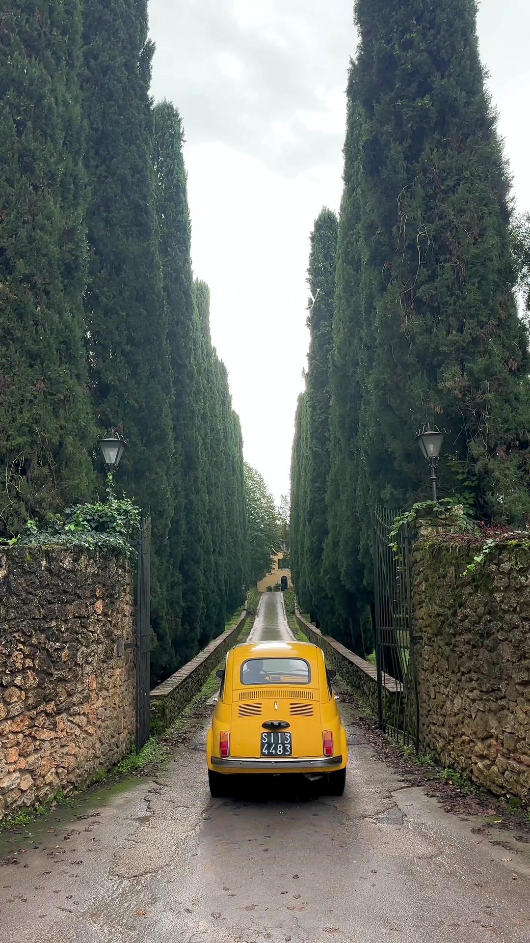 @coppiaecaneinfuga