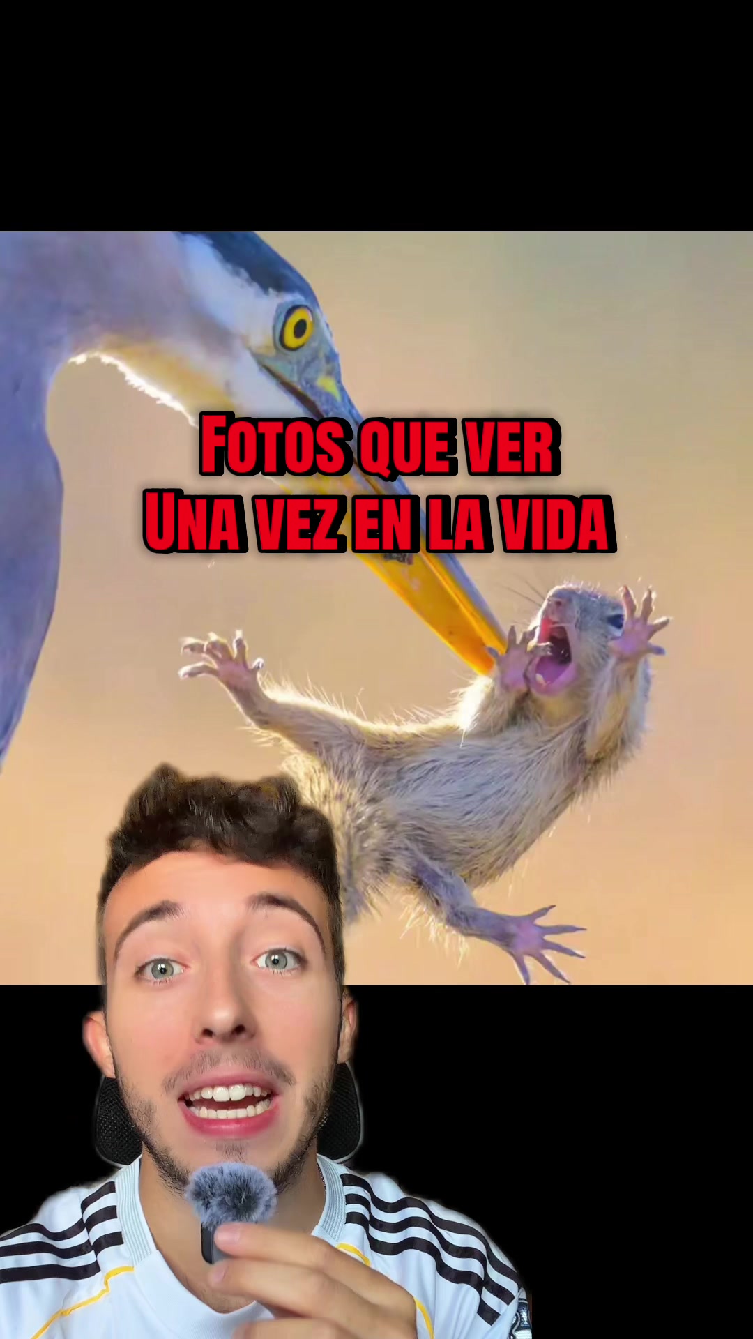 @ivanttops