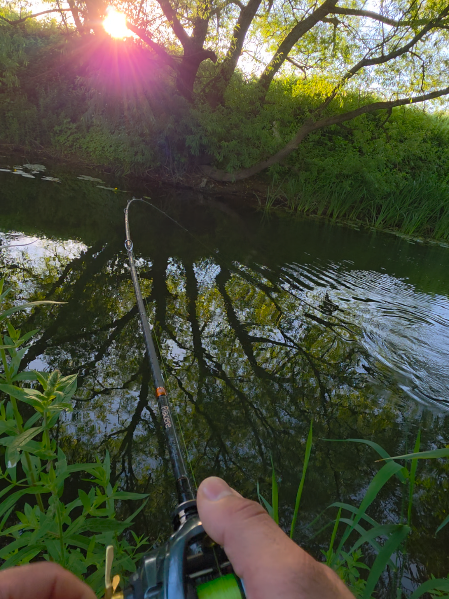 @BF Angler